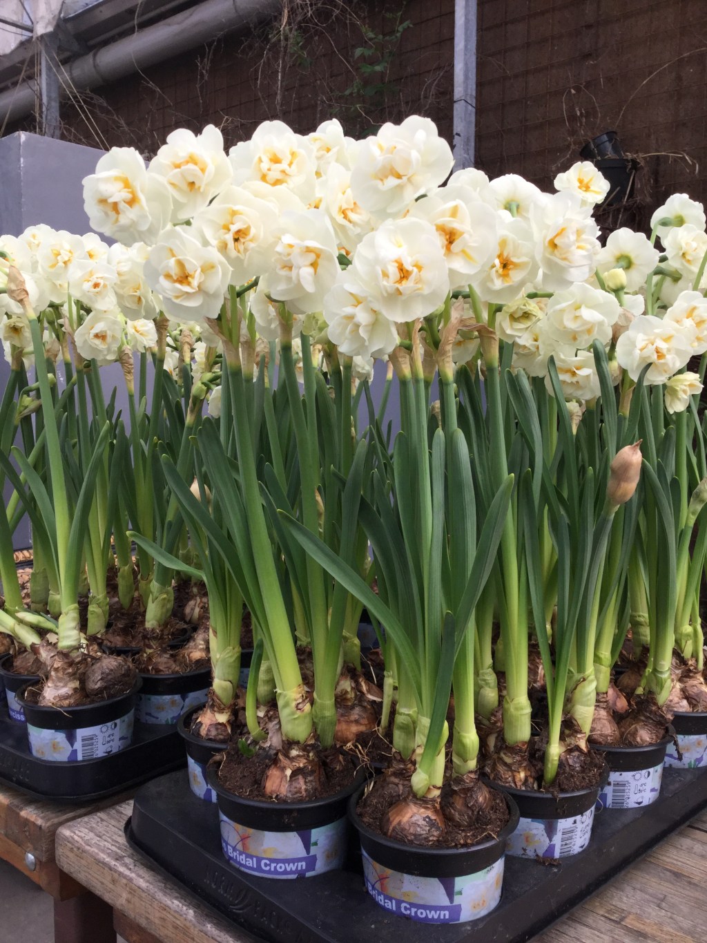 Lente Event – weekend 1 & 2 april 2023